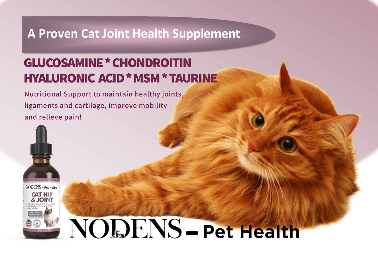 nodens-cat-joint-supplement-glucosamine-for-cats 



