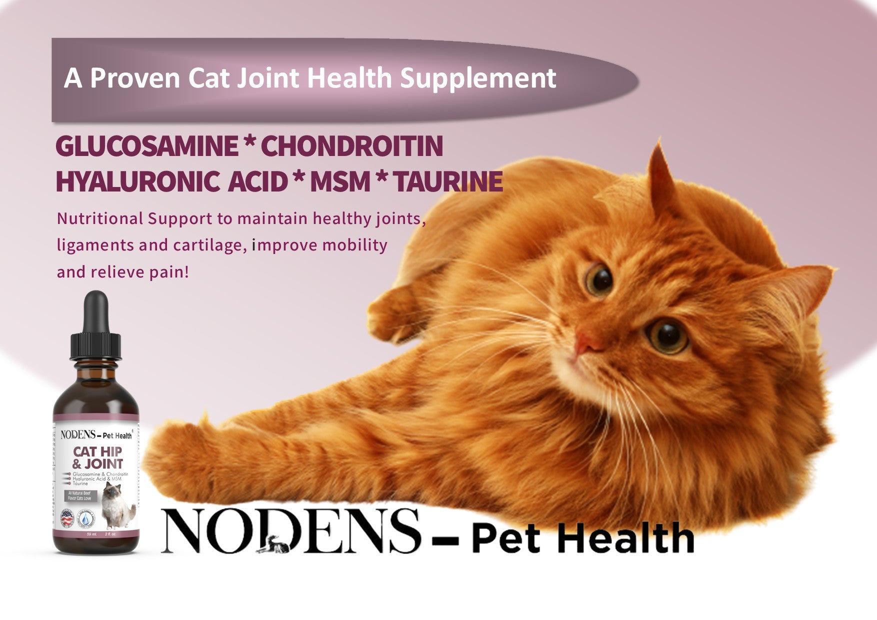 nodens-cat-joint-supplement-glucosamine-for-cats 


