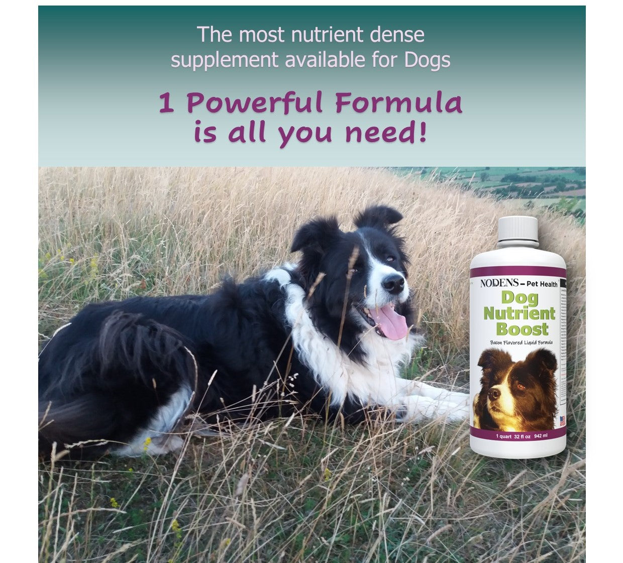 NODENS Nutrient Boost – Multivitamin for dogs - Liquid Health Supplement - Prebiotic and Probiotic for Digestion and Gut Health – Immune Support - Omega 3 Antioxidant - Multivitamins and Minerals