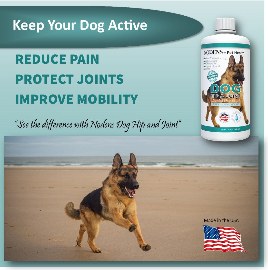 NODENS Dog Hip and Joint - Concentrated Liquid Formula - Glucosamine with Chondroitin, MSM and Hyaluronic Acid for Joint Flexibility