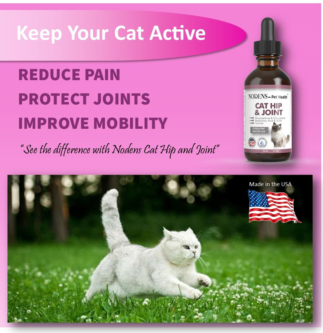 Joint pain relief for cats best sale