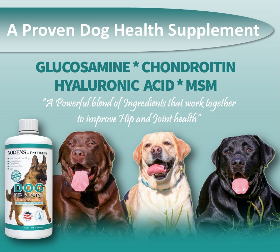 NODENS Dog Hip and Joint - Concentrated Liquid Formula - Glucosamine with Chondroitin, MSM and Hyaluronic Acid for Joint Flexibility