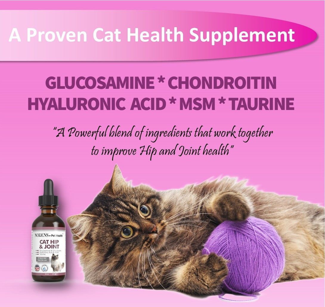 NODENS CAT Hip and Joint Liquid Glucosamine for Cats with Chondroitin and Opti-MSM® Hyaluronic Acid