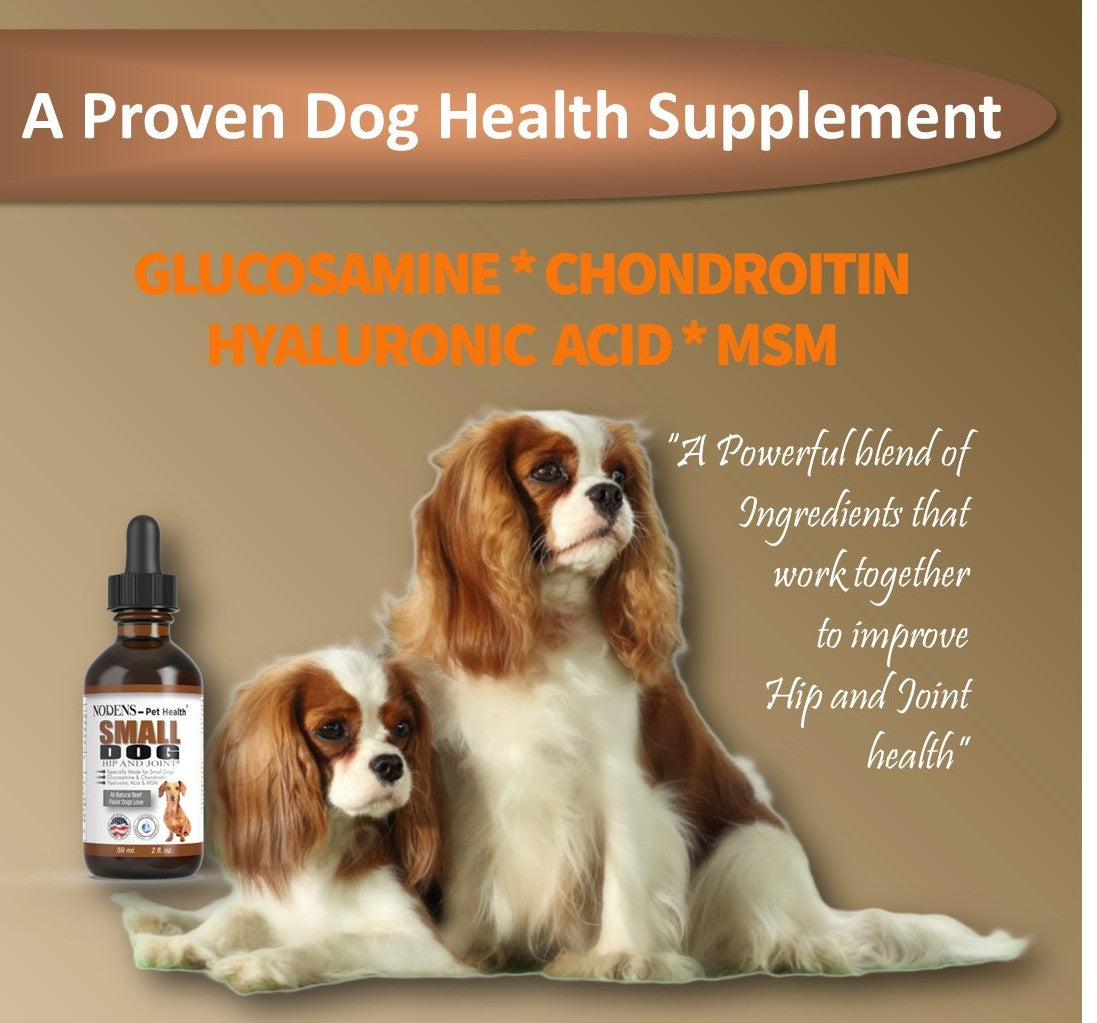 glucosamine-for-small-dogs-pain-relief-anti-inflammatory