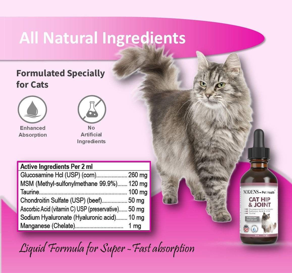 NODENS CAT Hip and Joint Liquid Glucosamine for Cats with Chondroitin and Opti-MSM® Hyaluronic Acid