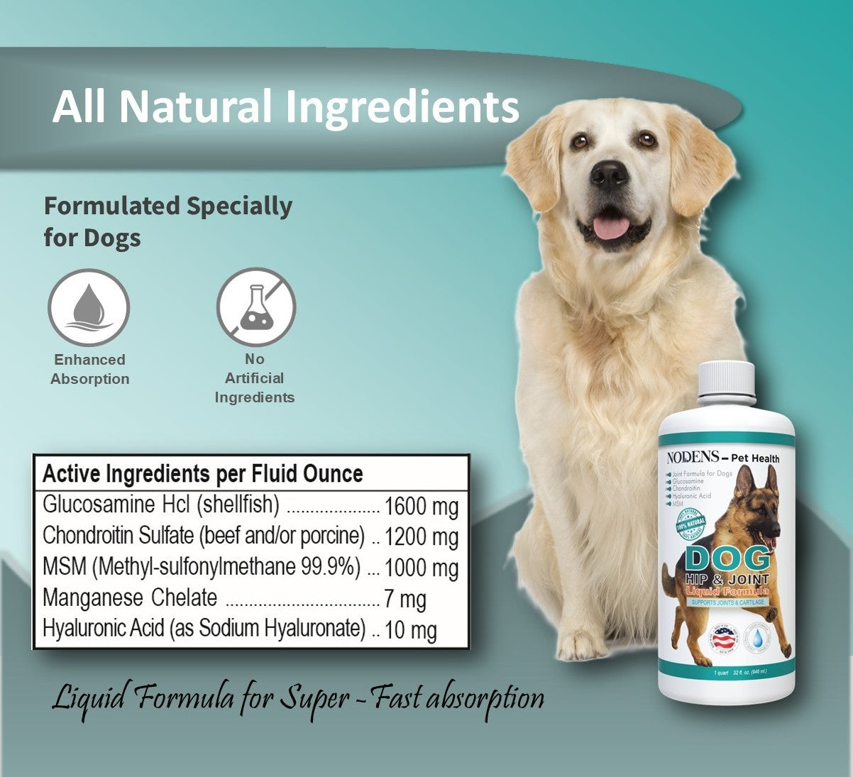 NODENS Dog Hip and Joint - Concentrated Liquid Formula - Glucosamine with Chondroitin, MSM and Hyaluronic Acid for Joint Flexibility