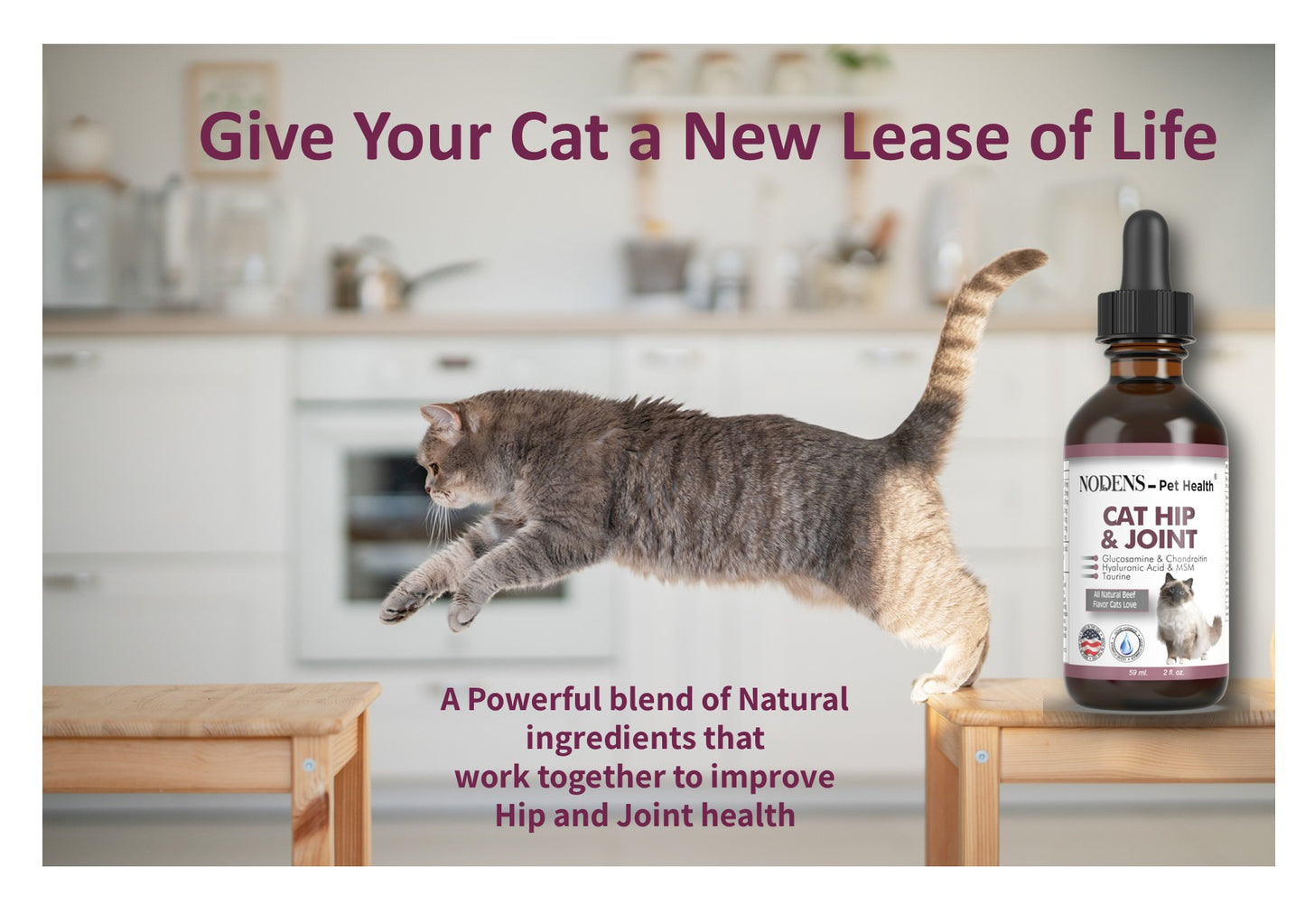 nodens-glucosamine-for-cats-liquid-hip-and-joint-supplement-100 % natural