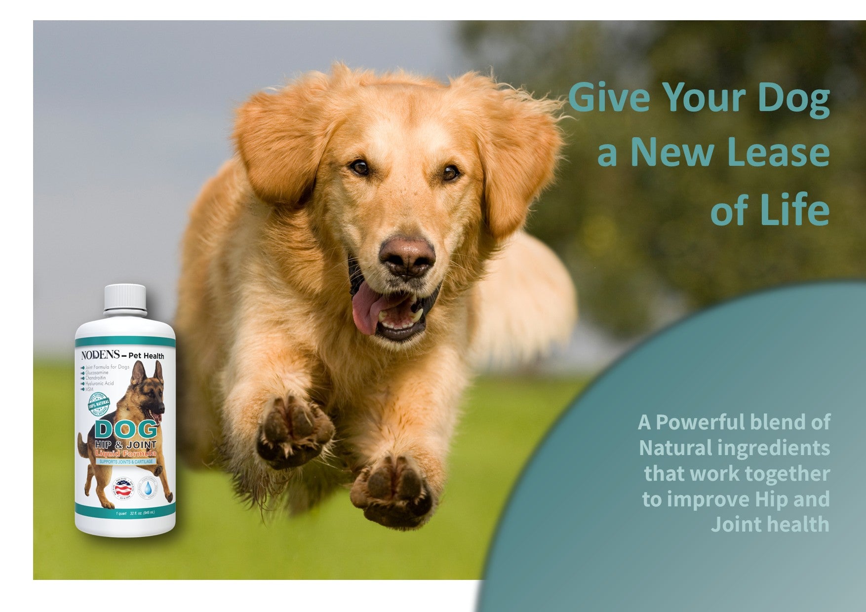 best-glucosamine-for-dog-hip-and-joint-100% natural