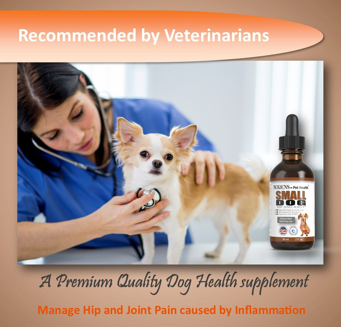 glucosamine-for-small-dogs-pain-relief-from-arthritis-vet-approved 