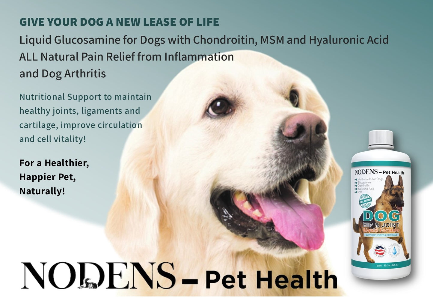 NODENS Dog Hip and Joint - Concentrated Liquid Formula - Glucosamine with Chondroitin, MSM and Hyaluronic Acid for Joint Flexibility