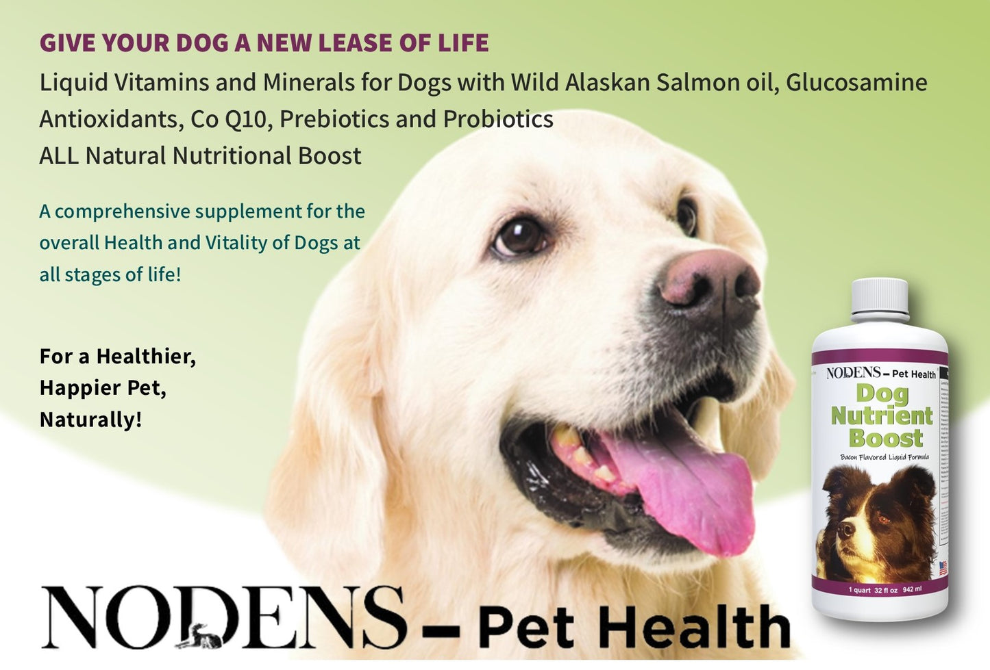 NODENS Nutrient Boost – Multivitamin for dogs - Liquid Health Supplement - Prebiotic and Probiotic for Digestion and Gut Health – Immune Support - Omega 3 Antioxidant - Multivitamins and Minerals