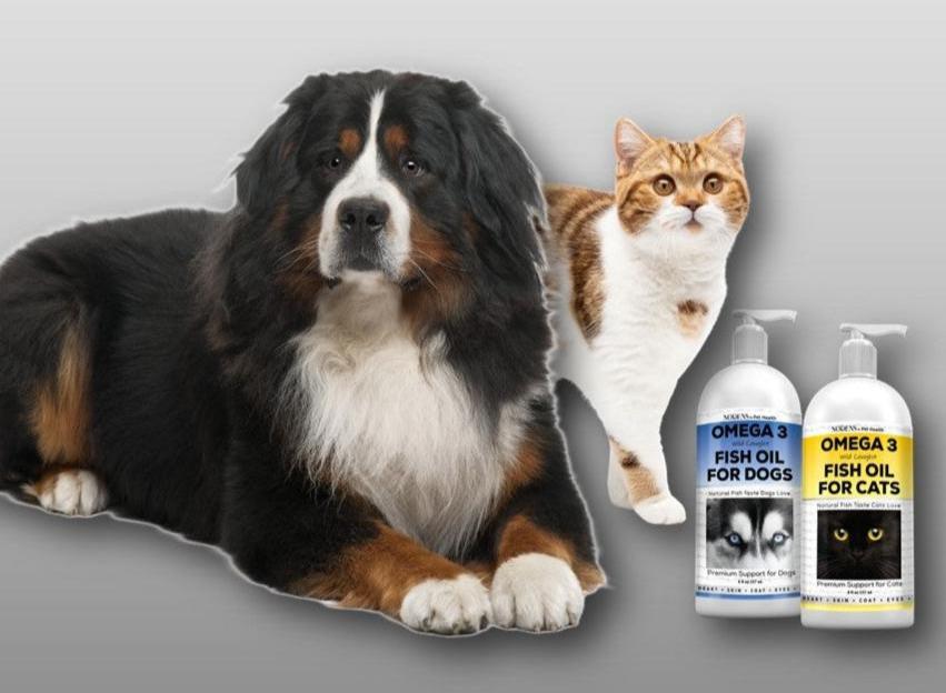 Omega 3 fish oil for dogs. omega 3 fish oil for cats, fish oil dogs, fish oil cats