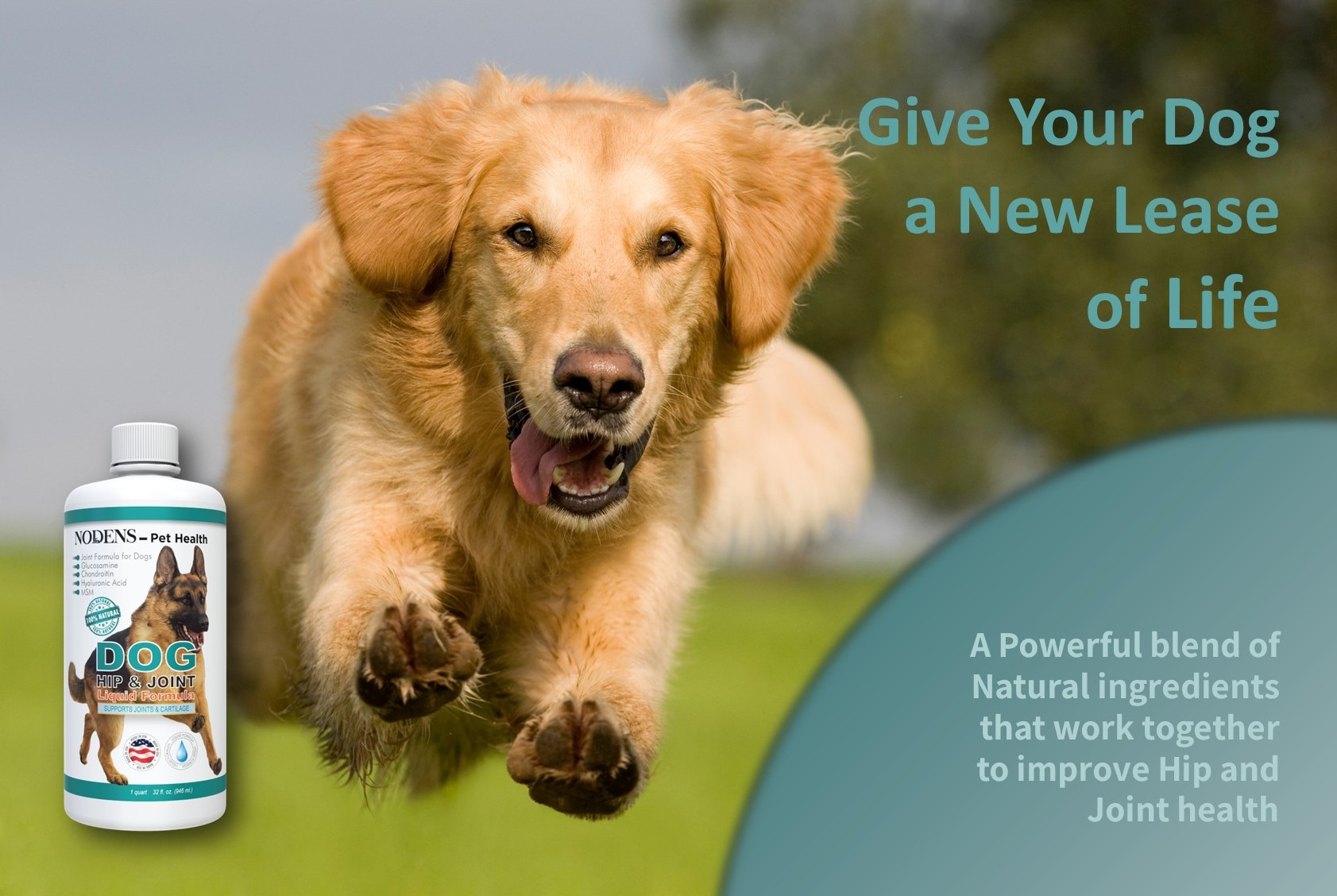 Dog Hip and Joint glucosamine for dogs; dog arthritis pain relief; dog pain relief anti inflammatory: glucosamine chondroitin for dogs; dog glucosamine; glucosamine for dogs arthritis pain relief