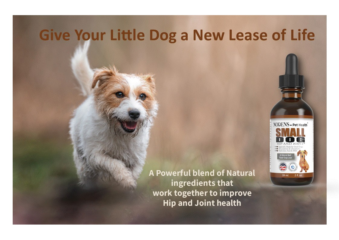 glucosamine for small dogs; pain relief for small dogs; dog arthritis pain: Nodens Small Dog Hip and Joint glucosamine chondroitin for dogs; dog glucosamine; glucosamine for dogs arthritis pain relief