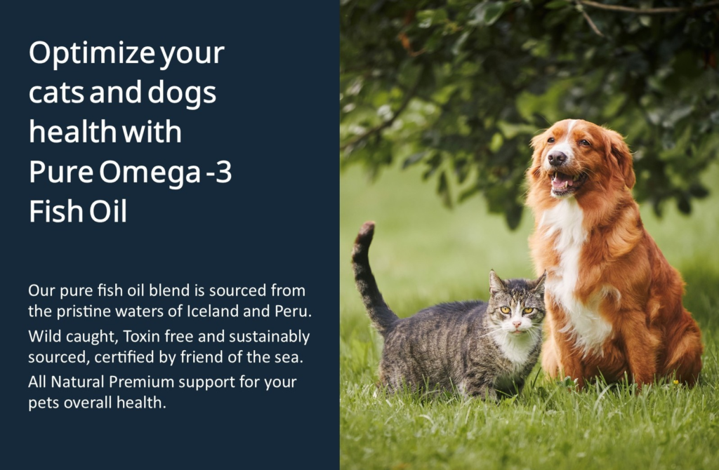 Fish-oil-for-dogs-omega-3
Fish-oil-for-dogs
Fish-oil-for-dogs-pure
Omega-3-fish-oil-dog-skin-and-coat-supplement 
Omega-3-fish-oil-liquid-pump-for-dogs
Best-dog-fish-oil-supplement
Omega-3-fish-oil-for-dogs
Dog-fish-oil-supplement-for-shedding 

