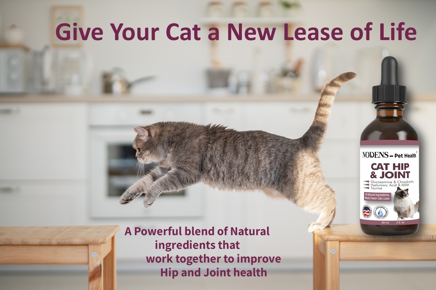 glucosamine for cats; cat health supplies; cat pain relief; cat arthritis